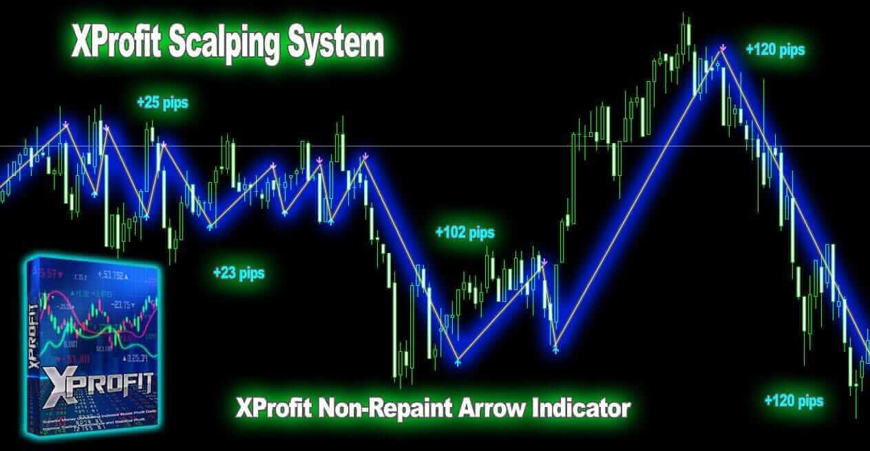 xprofit demonstration3